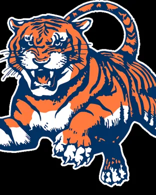 Auburn Tigers Vs. West Virginia Mountaineers